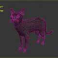Gray Short Haired Cat With Blue Eyes Standing On Dark Background 3d model