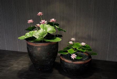 New Chinese-style Water Tank Lotus Tank Fish Lotus Water Scene Micro Landscape Aquatic Plants Indoor Lotus 3d model