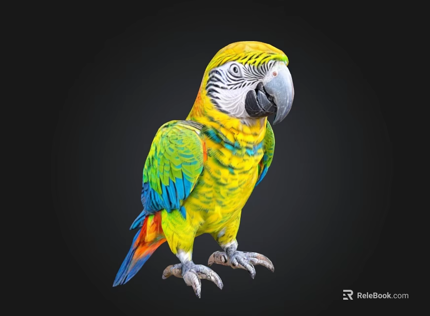Colorful Parrot With Yellow Head Green Wings And Vibrant Feathers On Black Background 3d model 