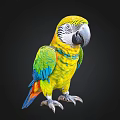 Colorful Parrot With Yellow Head Green Wings And Vibrant Feathers On Black Background