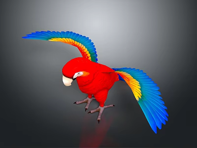 Vibrant Red Parrot with Blue and Yellow Feathers Spreading Wings Against Dark Background 3d model