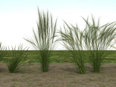 Modern Herbaceous Plants 3d model Modern Herbaceous Plants 3d model