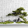 Courtyard Garden with White Patterned Wall Leaning Bonsai Tree Rocks Green Moss and White Pebbles 3d model
