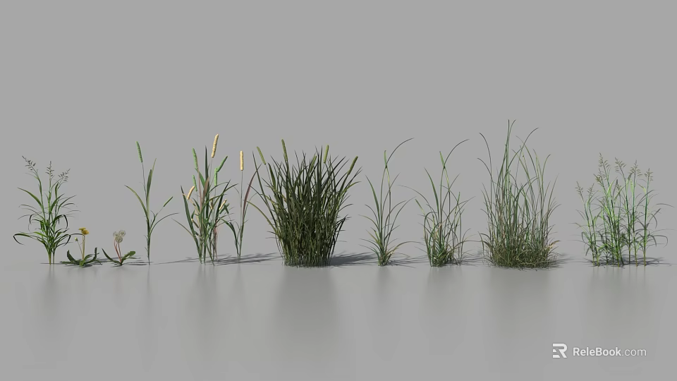 Different Types of Green Grasses and Small Flowers Arranged in a Row 3d model 