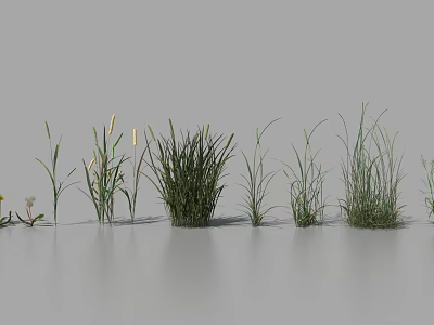 Different Types of Green Grasses and Small Flowers Arranged in a Row 3d model