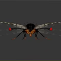 Alien Insects Sci-Fi Insects Magic Insects Strange Insects Fantasy Insects Insect Characters Game Characters 3d model