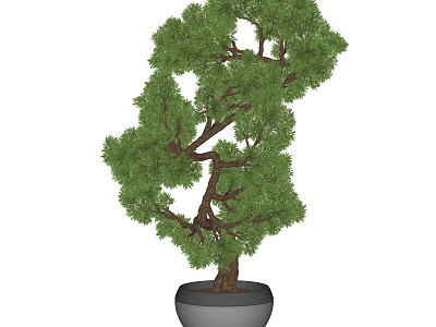 Artistic Bonsai Tree With Curved Branches Lush Green Foliage And Modern Gray Ceramic Pot 3d model