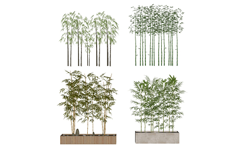 Modern Bamboo Landscape Plant Bamboo 3d model