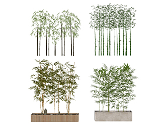 Modern Bamboo Landscape Plant Bamboo 3d model