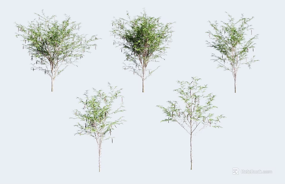 Multiple Green Leafy Trees In Various Sizes And Natural Growth Forms 3d model 