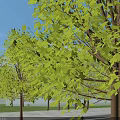Municipal Road Intersection Layout With Surrounding Buildings Green Trees And Moving Vehicles