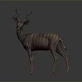 Greater Kudu Antelope With Striped Body Standing On Gray Background Featuring Long Curved Horns