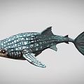 Unique Patterned Aquatic Fish With Distinctive Fins And Tail Features