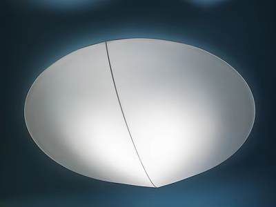 Modern White Round Ceiling Light Featuring Smooth Surface and Soft Illumination 3d model