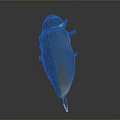 Green And Yellow Metallic Beetle With Textured Exoskeleton On Gray Background