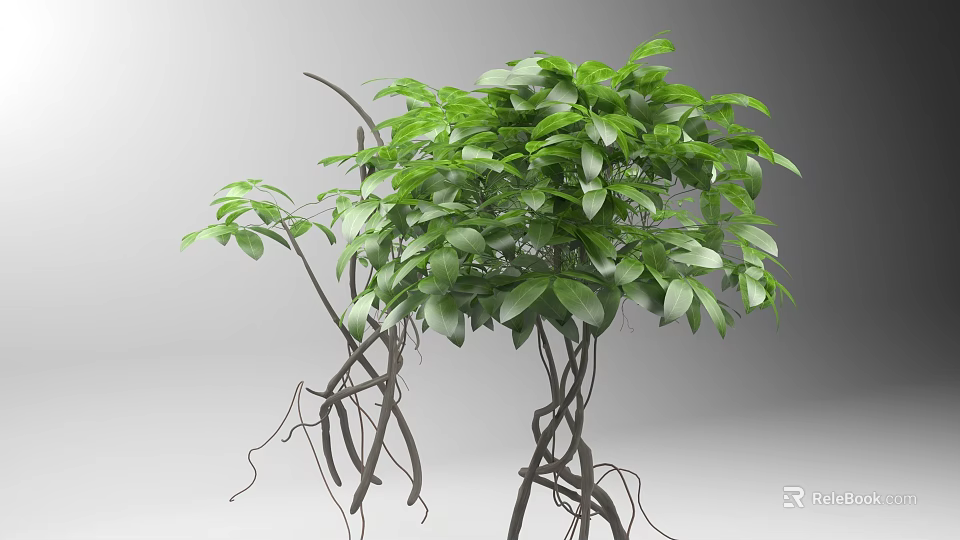 Lush Green Vine Plant With Twisted Branches Fresh Leaves And Natural Growth 3d model 