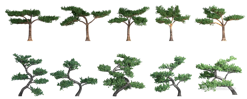 Various Shaped Trees With Lush Green Foliage And Curved Branches 3d model 