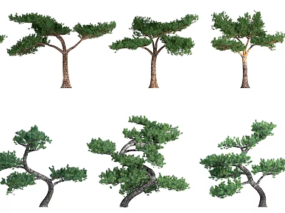Various Shaped Trees With Lush Green Foliage And Curved Branches 3d model