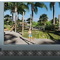 Outdoor Rope Course Area With Palm Trees Wooden Structures And Greenery For Activities 3d model