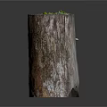 Wood And Stone Decorative Tree Stump With Green Moss Small Plants And Natural Elements