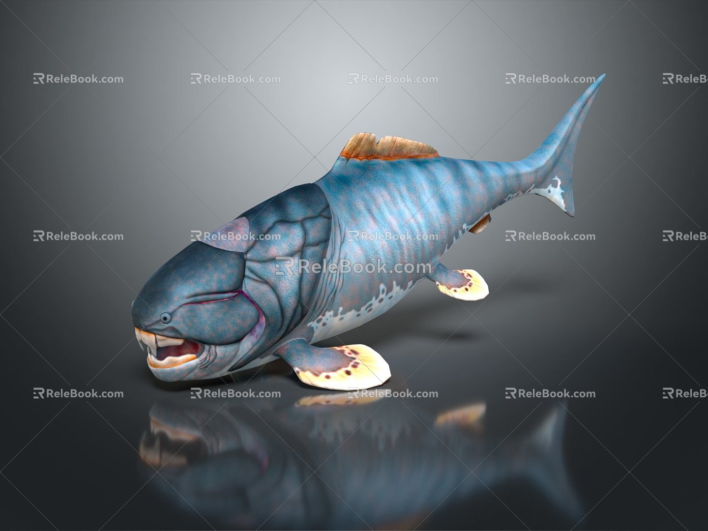 Modern shark cartoon shark great white shark whale shark 3d model