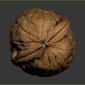 Fresh Walnut with Brown Shell and Natural Surface Texture on Dark Background