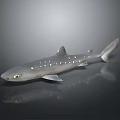 Gray Shark With White Spots On Sleek Body And Reflective Surface 3d model