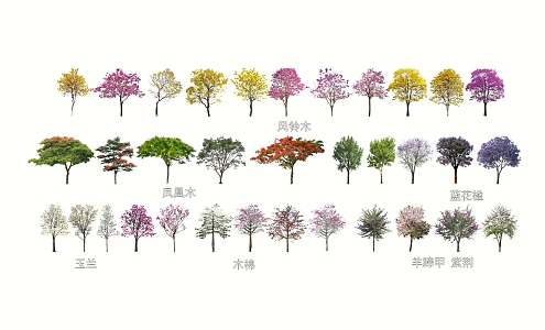 Common flowering arbor plants 3d model