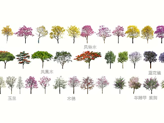 Common flowering arbor plants 3d model