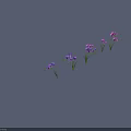 Purple Flowering Plants In Various Growth Stages With Green Stems And Fresh Blooms
