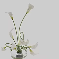 Elegant Decorative Ornament Set with White Calla Lilies in Transparent Glass Vase and Water