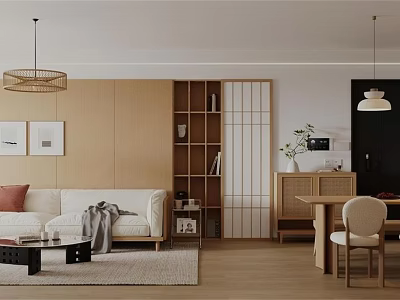 Modern Living Room Interior With Wooden Bookshelf Sliding Screen White Sofa And Woven Pendant Light 3d model