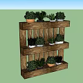 Three Tier Wooden Rack With Neatly Arranged Decorative Bonsai Potted Plants