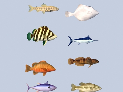 fish freshwater fish aquatic animal 3d model