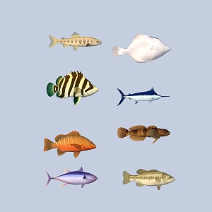 fish freshwater fish aquatic animal 3d model