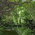 Lush Tropical Forest Landscape With Sunlight Filtering Through Dense Green Foliage