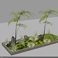 Garden Landscape Design In Rectangular Planter With Two Fern Trees Rocks Moss And Small Plants