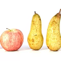 Fresh Red Apples and Yellow Pears Displayed in a Line on White Background