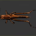 grasshopper insect cartoon locust animation locust anime locust anime game character 3d model