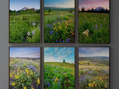 Scenic Landscape Paintings Featuring Wildflower Meadow Mountain And Colorful Sky Views 3d model