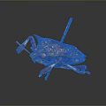 Colorful Spotted Insect With Red Yellow Patterns And Metal Pins Through Body