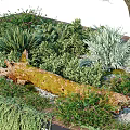 Beautiful Garden Landscape With Purple Flowering Trees Green Plants Lush Grass And Natural Design