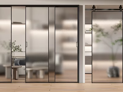 Modern Interior Sliding Doors With Frosted Glass Black Frame And Living Room Plants 3d model