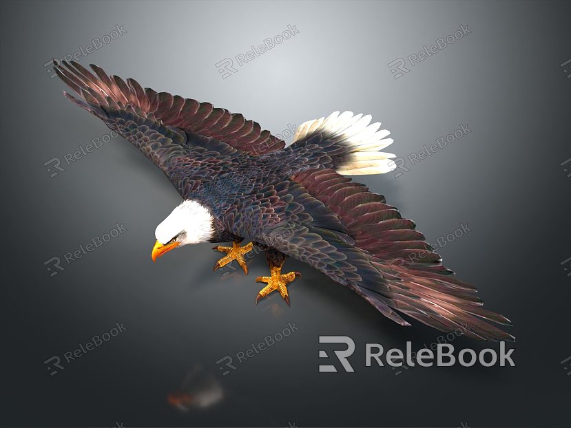 modern eagle bald eagle model