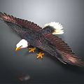 Majestic Eagle Spreading Wings With White Head And Yellow Beak Claws