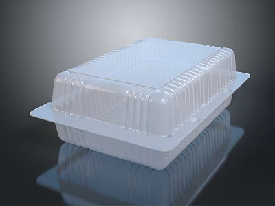 Transparent Plastic Food Container Set With Sealable Lid For Food Storage And Meal Prep 3d model
