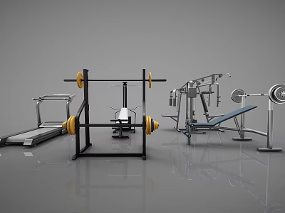 Modern Home Gym Sports Equipment Including Barbell Treadmill Bench Press And Racks 3d model
