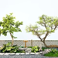 Modeling welcome pine modeling black pine landscape sketch 3d model