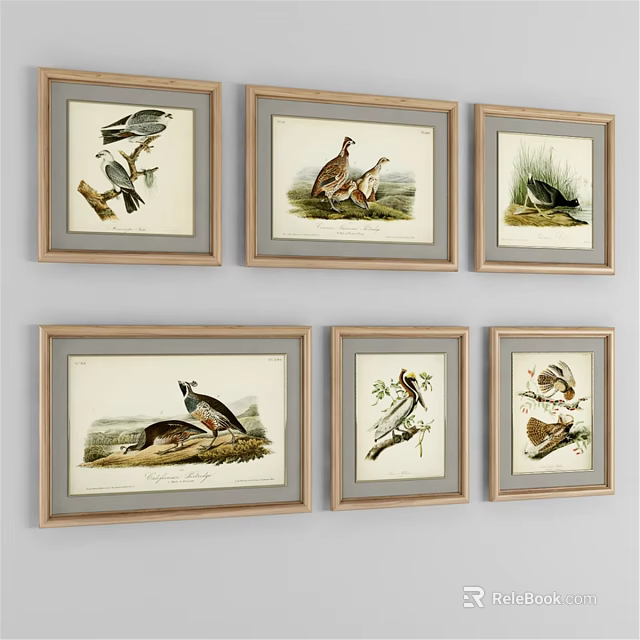 Wooden Frames With Bird Animal Illustrations In Grid Arrangement And Gray Mat 3d model 