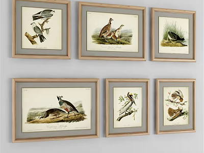 Wooden Frames With Bird Animal Illustrations In Grid Arrangement And Gray Mat 3d model